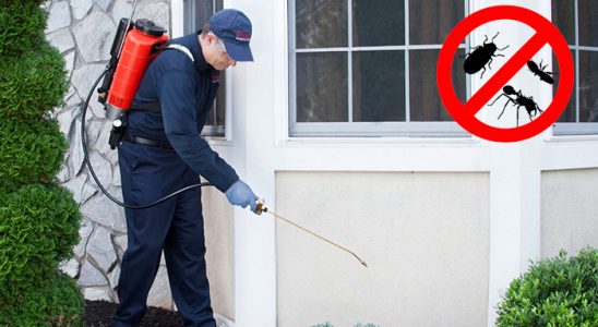 Sungurlu Hamam Böceği İlaçlama böcek ilaçlama ve haşere kontrolü — ilaclama-tr.com